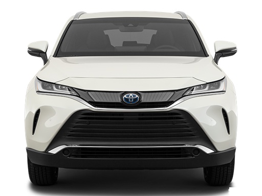 VENZA 2020 -